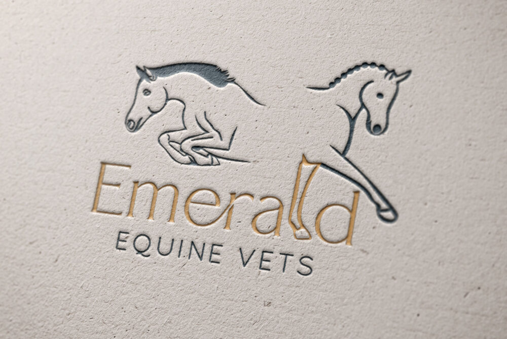 EEV-logo-1 copy